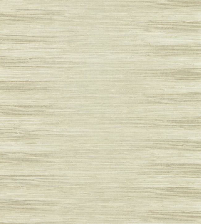 Kensington Grasscloth Wallpaper - Paris Grey - ZHIW313003 - Zoffany