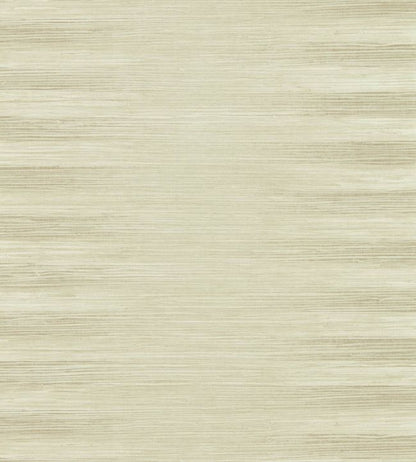 Kensington Grasscloth Wallpaper - Paris Grey - ZHIW313003 - Zoffany