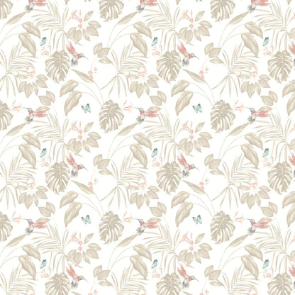 Hummingbird Wallpaper