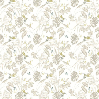 Hummingbird Wallpaper