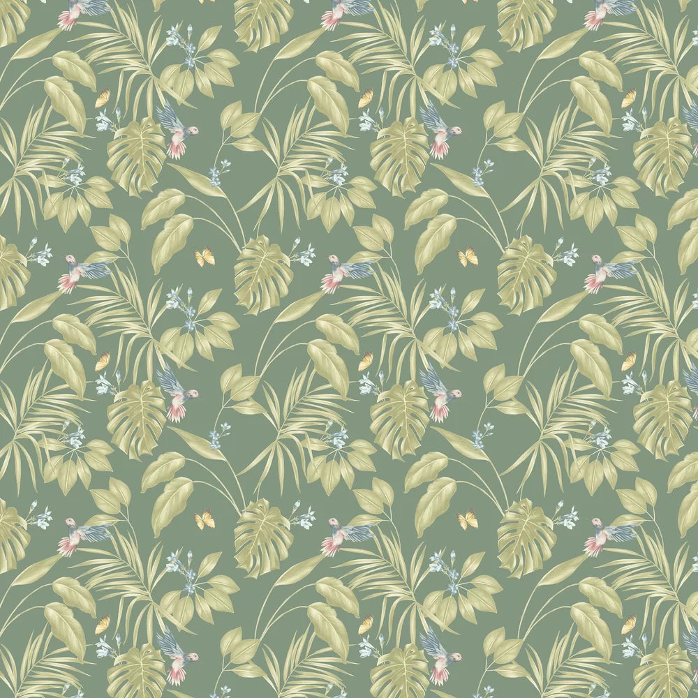 Hummingbird Wallpaper