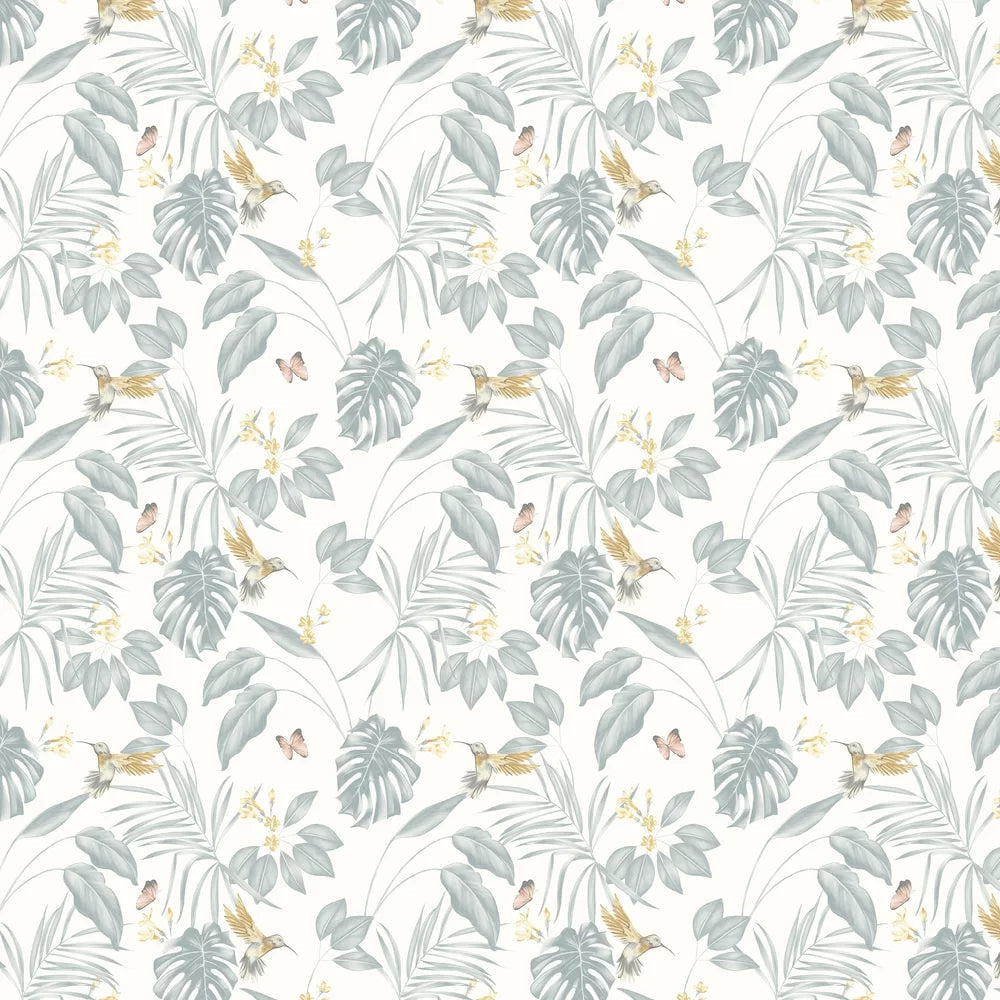 Hummingbird Wallpaper