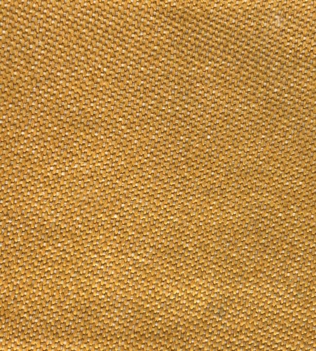 Max Fabric - Gold - Gaston y Daniela