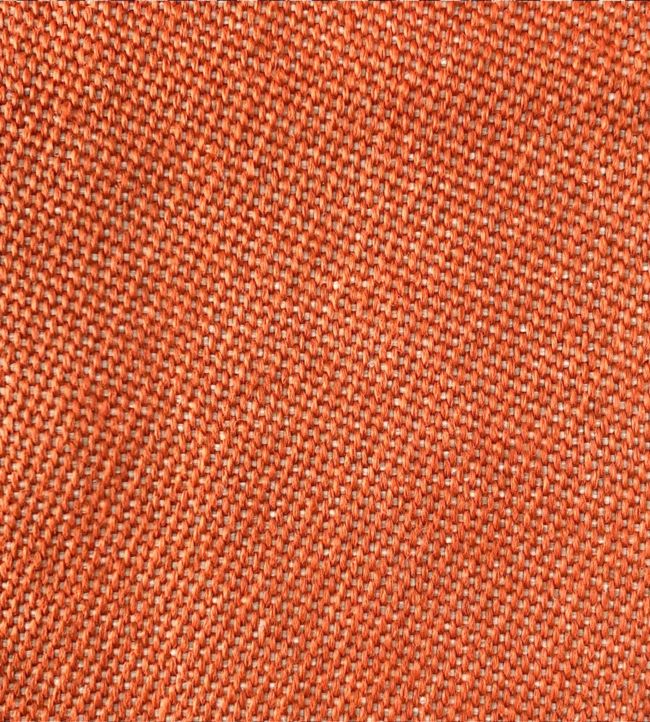 Max Fabric - Orange - Gaston y Daniela