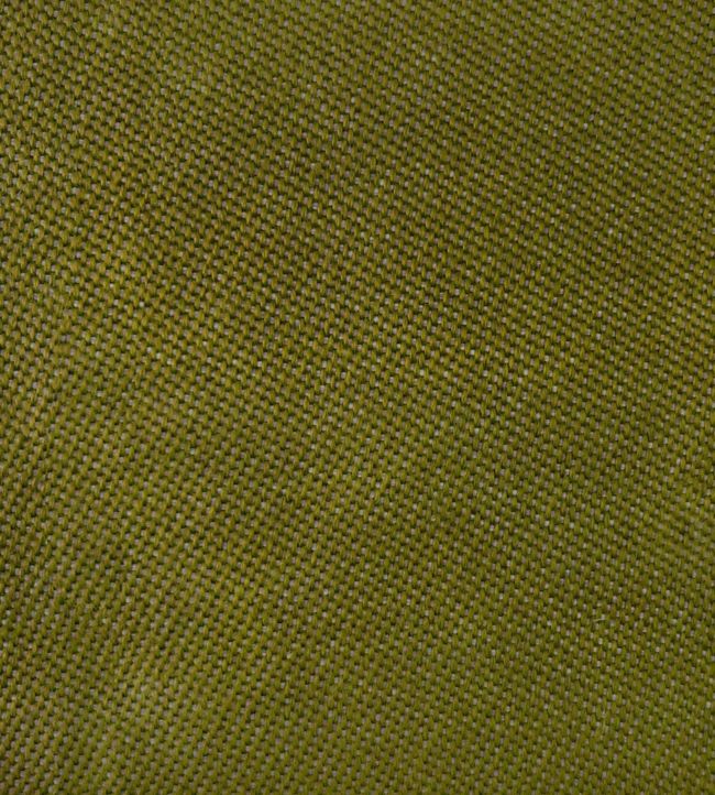 Max Fabric - Green - Gaston y Daniela