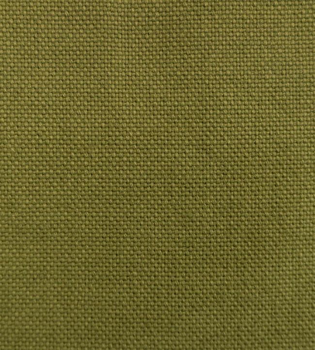 Dobra Fabric - Green - Gaston y Daniela