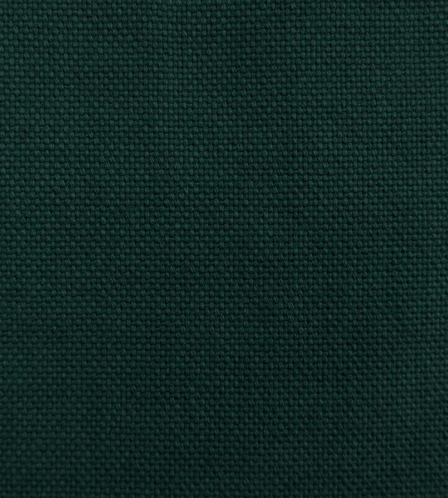 Dobra Fabric - Green - Gaston y Daniela