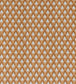 Peruyes Fabric - Orange - Gaston y Daniela