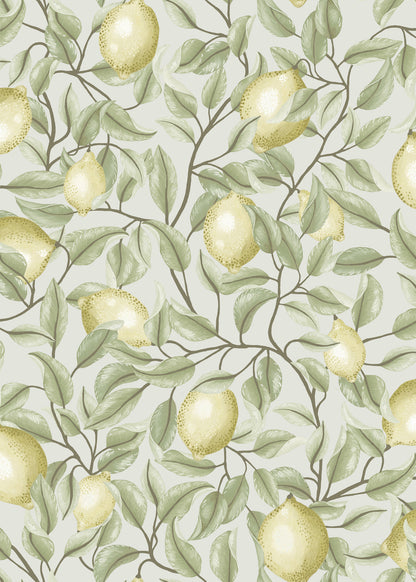 Lemon Trees Wallpaper - Tea green - Summer Gray
