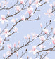In Bloom Wallpaper - Kimono - Petronella Hall