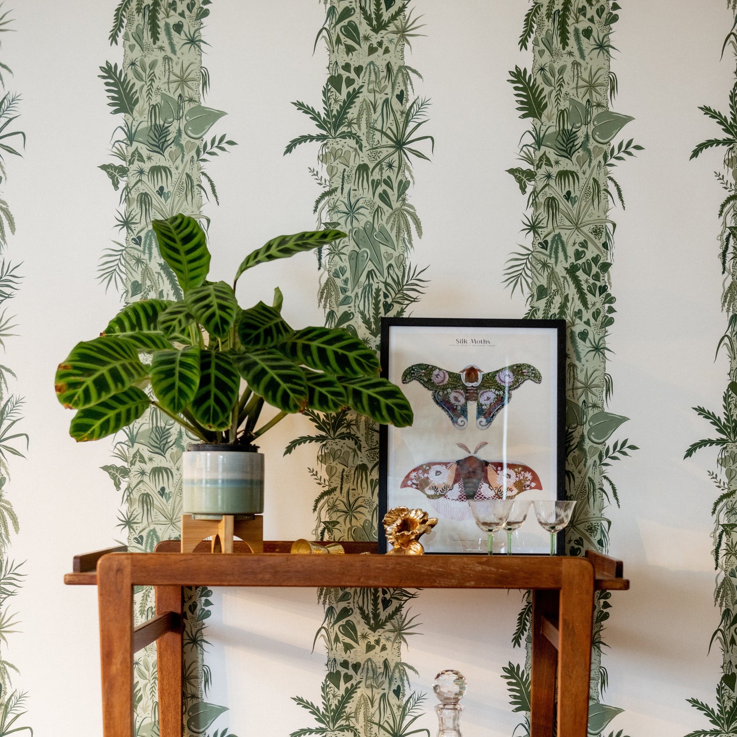 Monte Verde Wallpaper