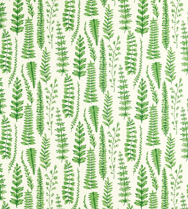 Ferns Fabric - Juniper