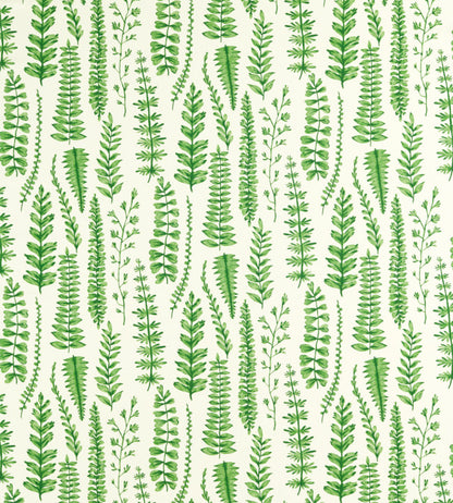 Ferns Fabric - Juniper