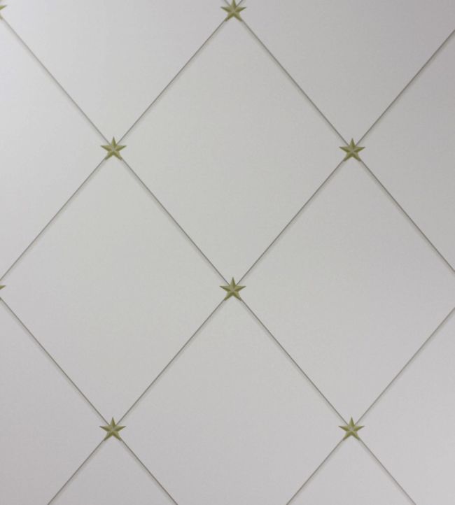 NCW4151-05 - Torosay Wallpaper - Gold/Taupe - Nina Campbell