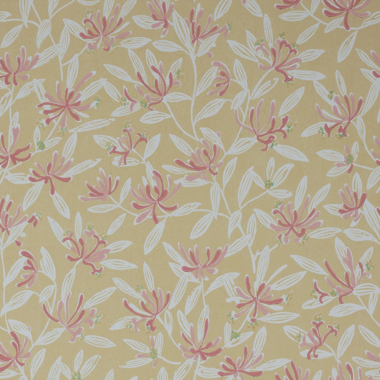 Nerissa Wallpaper - Yellow - J174W-03 - Jane Churchill