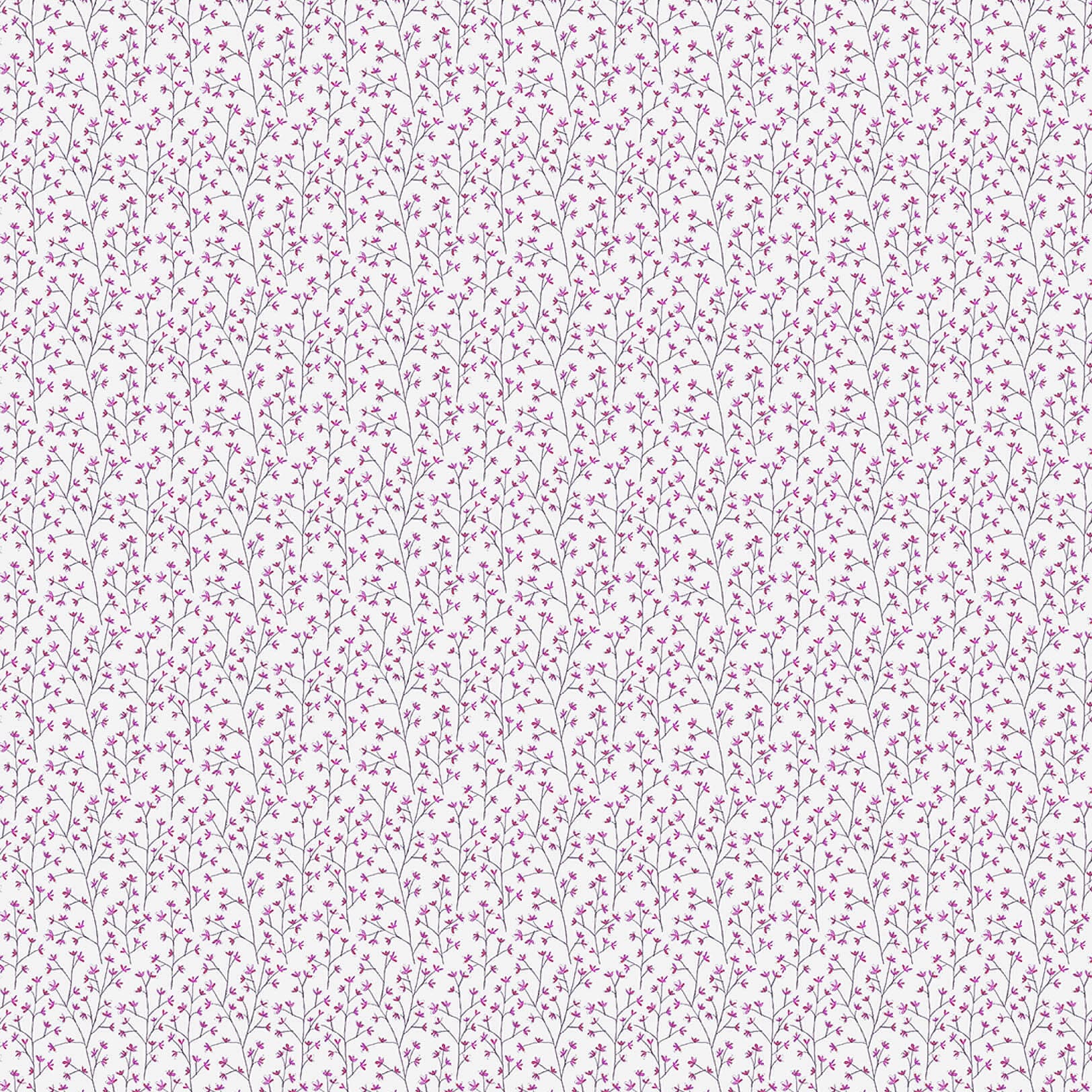 Ophelia Fuchsia Lomond Pima Lawn Cotton - Dress Fabric