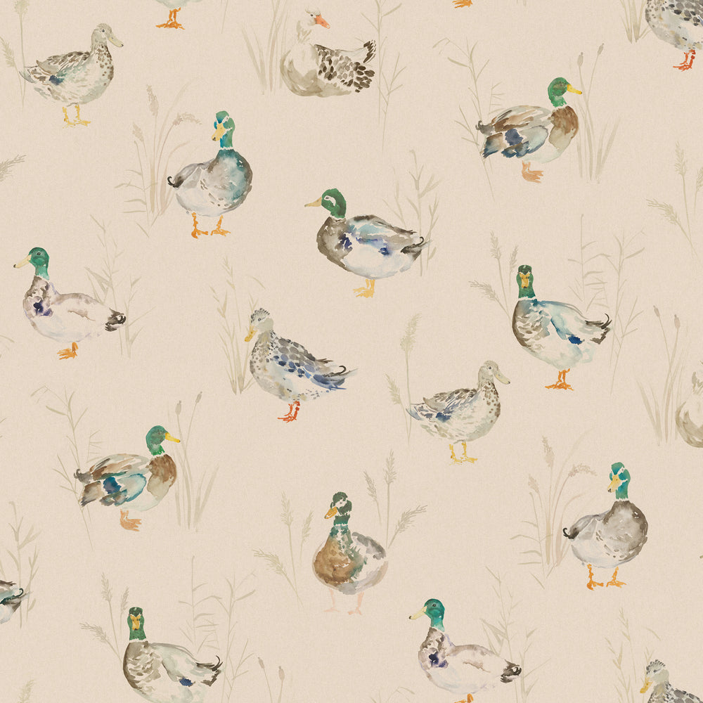 Paddling Ducks Wallpaper