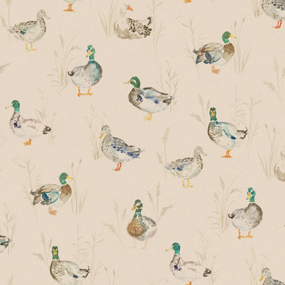 Paddling Ducks Wallpaper