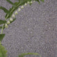 Pavonazzo Wallpaper