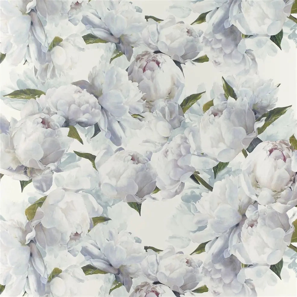 Peonia Wallpaper