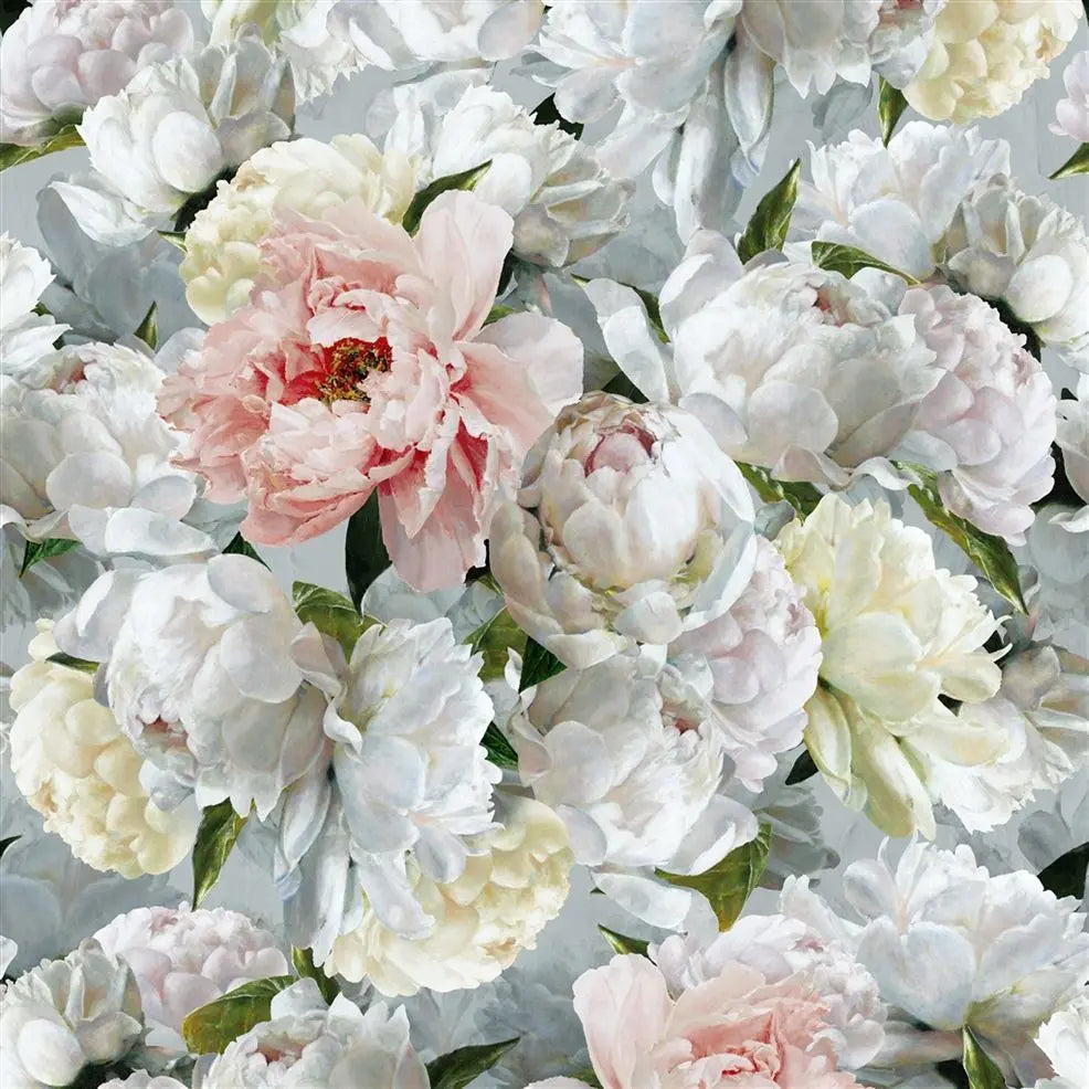 Peonia Grande Wallpaper