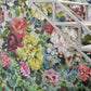 Grandiflora Rose Wallpaper