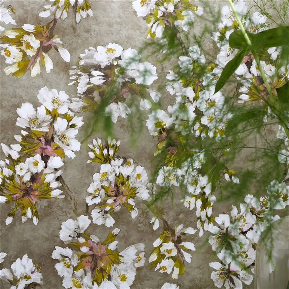 Fleur D'Assam Wallpaper