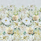 Jardin Botanique Wallpaper