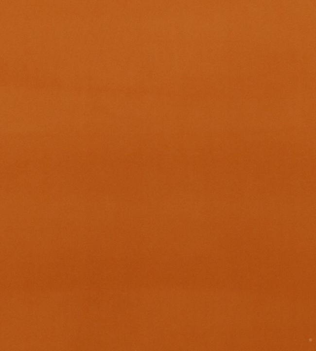 PF50417-330 - Montpellier Velvet Fabric - Spice - Baker Lifestyle