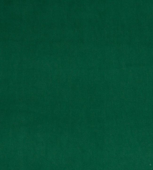 PF50417-791 - Montpellier Velvet Fabric - Bottle - Baker Lifestyle