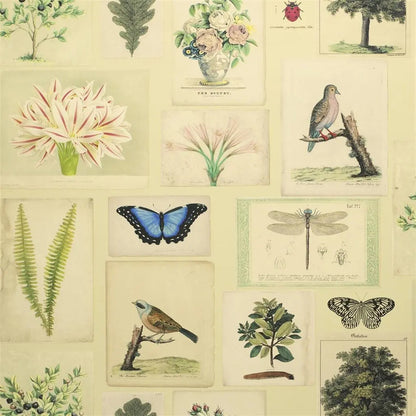 Flora And Fauna Wallpaper