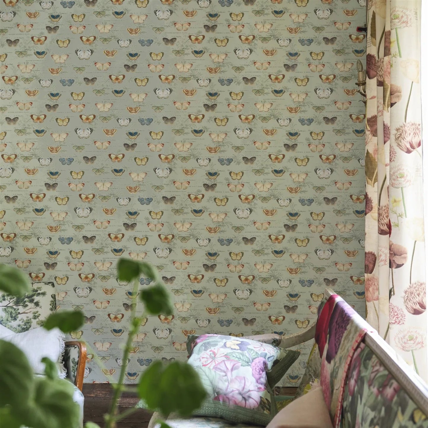 Butterfly Studies Wallpaper