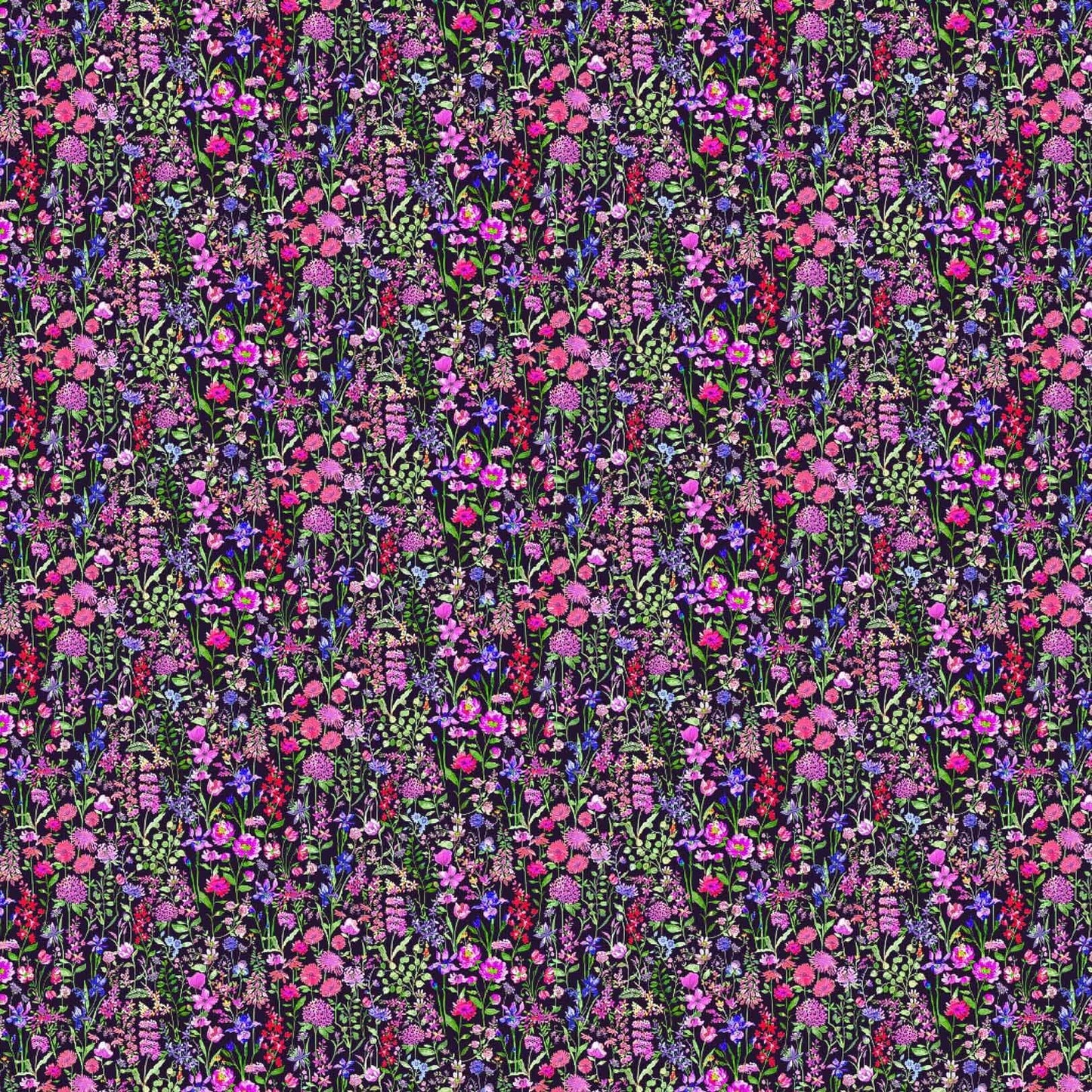 Prado De Flores Raspberry Onyx Lomond Pima Lawn Cotton - Dress Fabric