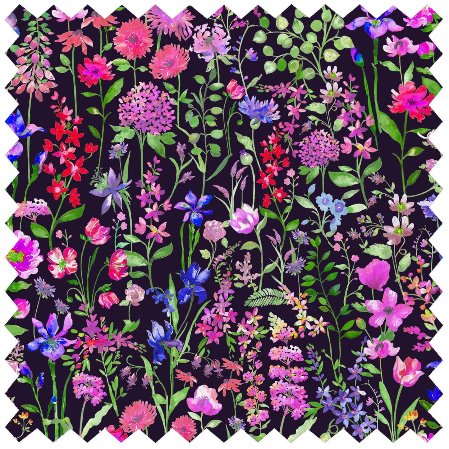 Prado De Flores Raspberry Onyx Lomond Pima Lawn Cotton - Dress Fabric