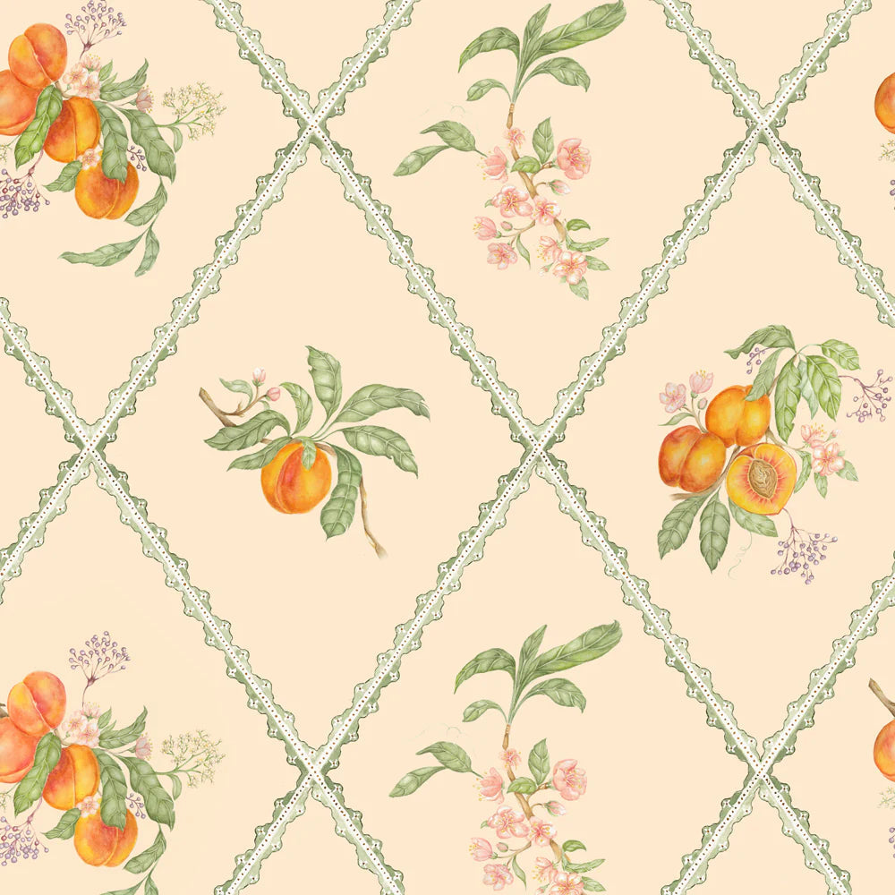 Peach Trellis Wallpaper