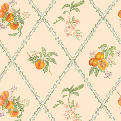 Peach Trellis Wallpaper