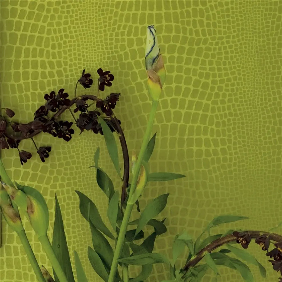 Pietra Wallpaper - Grass - P544/13 - Designers Guild