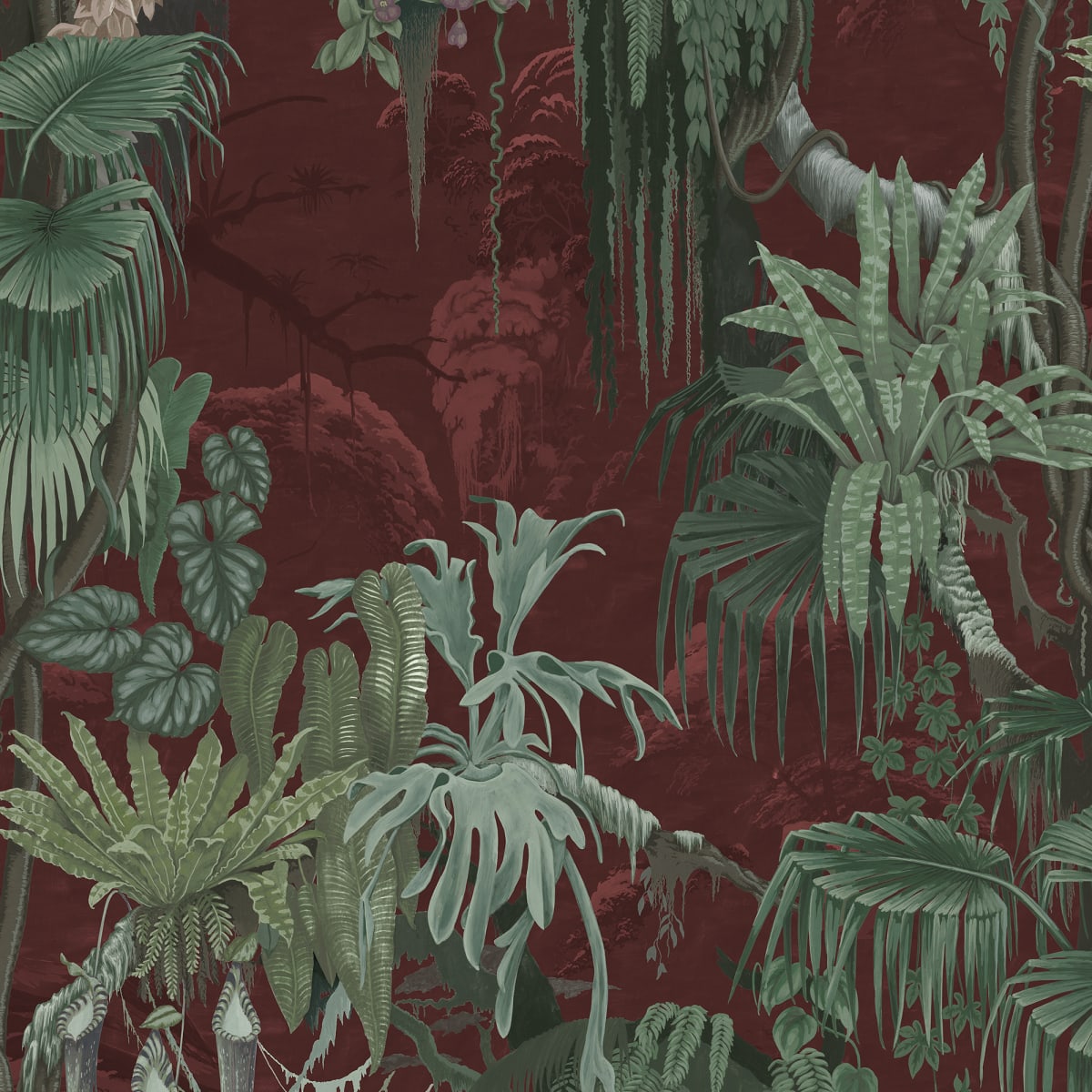 Madagascar Wallpaper