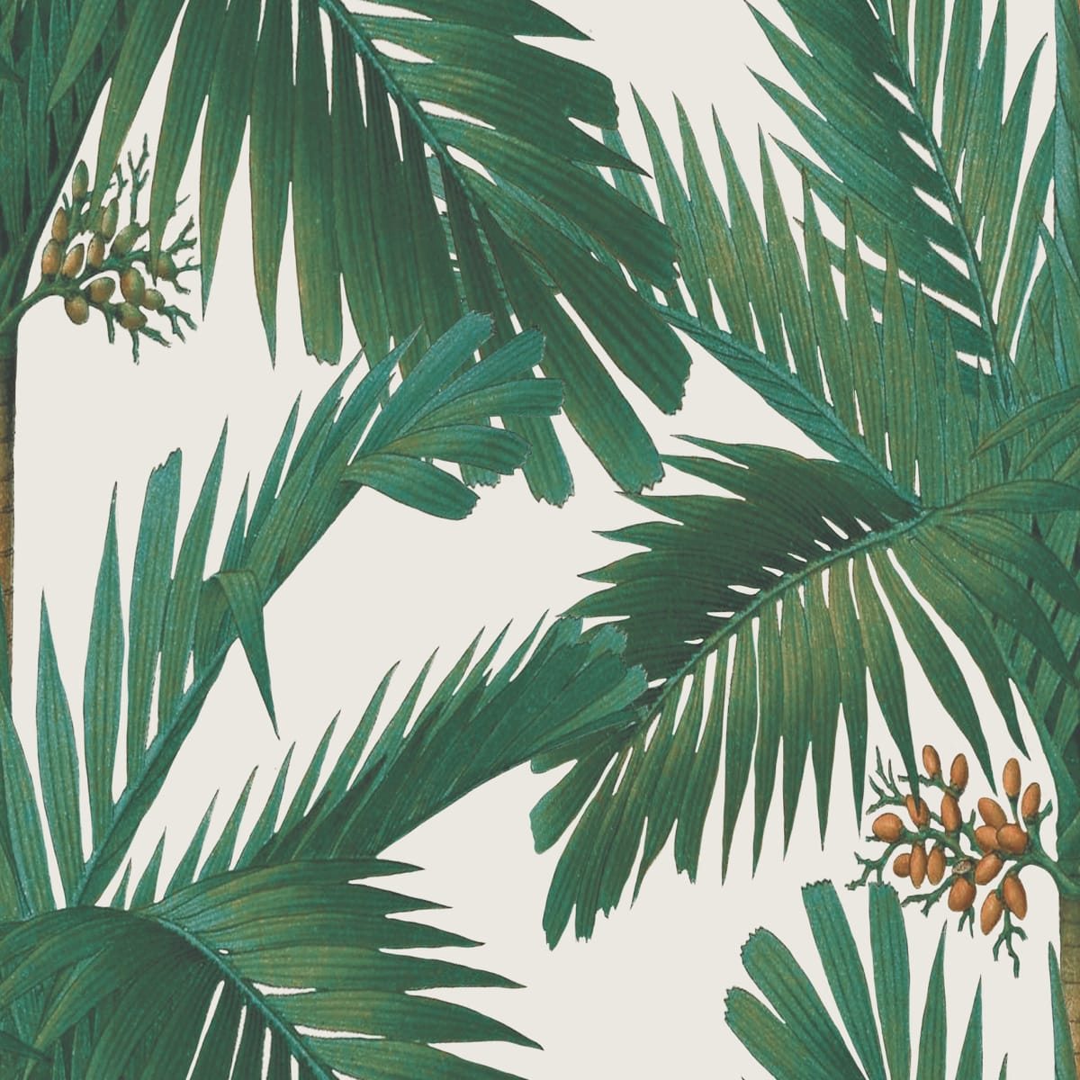 Palm Spring Wallpaper