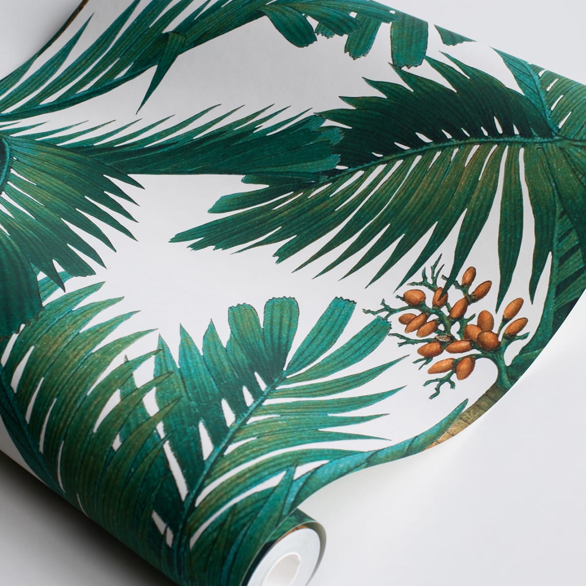 Palm Spring Wallpaper