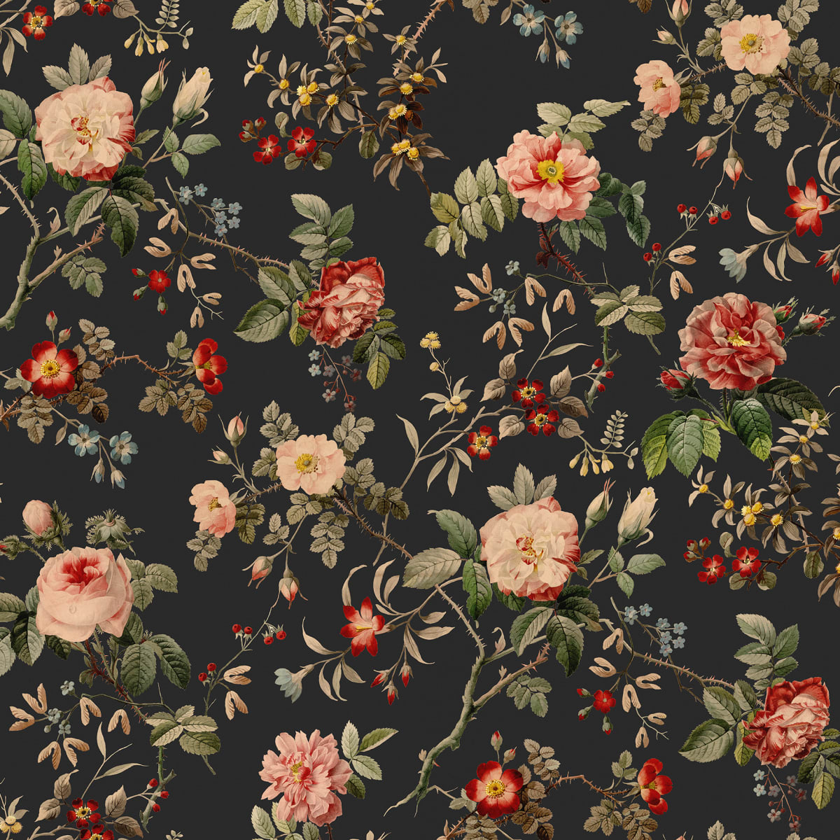 Thorn Rose Petite Wallpaper