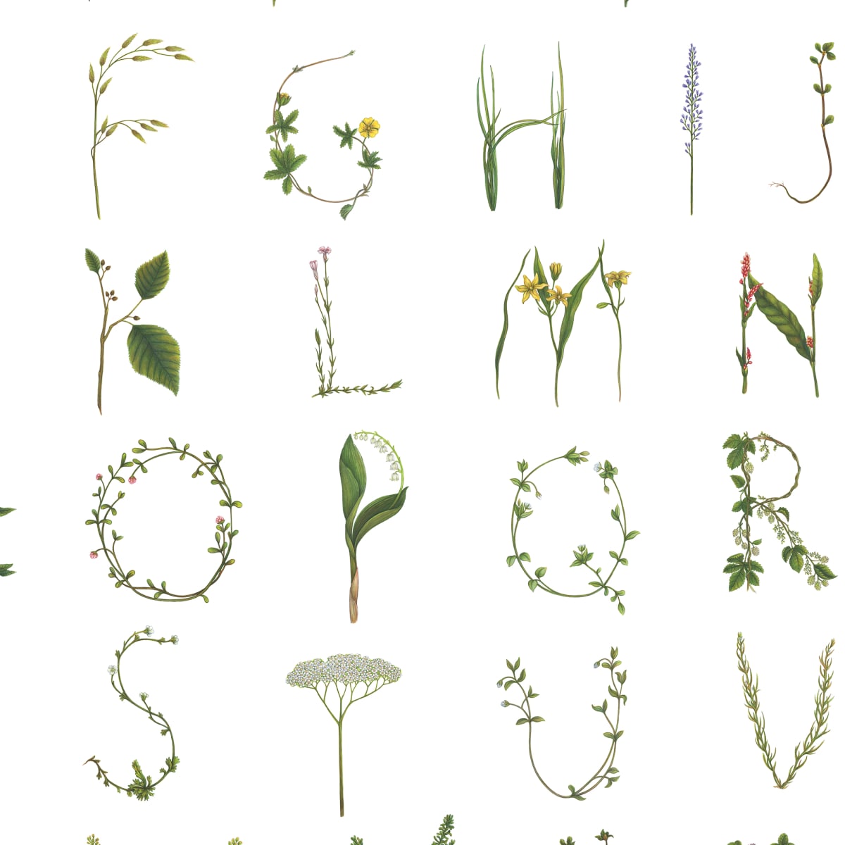 Floral Alphabet Mini Wallpaper