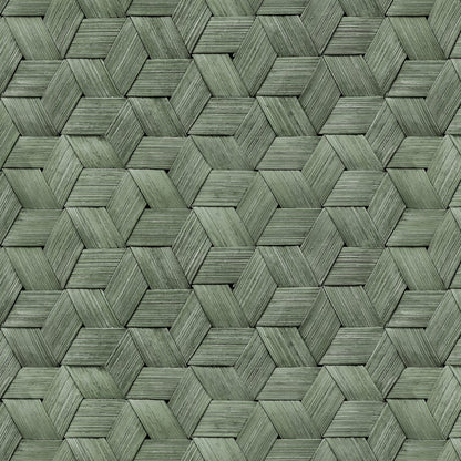 Small Birch Bark Braids Wallpaper