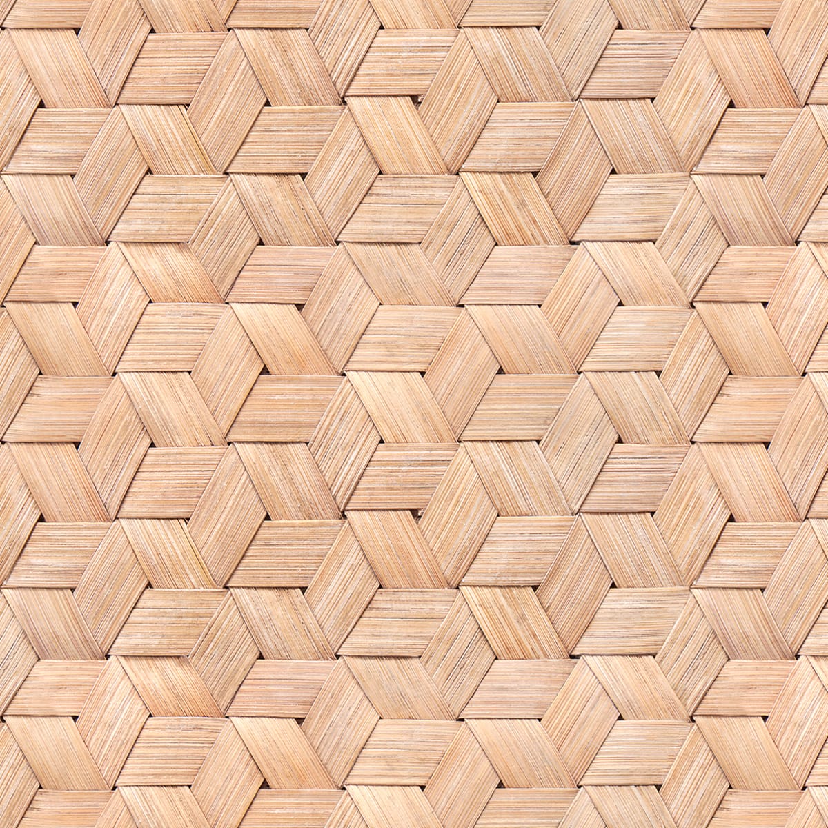 Small Birch Bark Braids Wallpaper