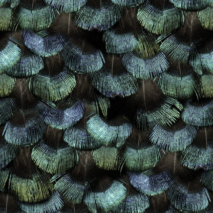 Petite Peacock Plumage Wallpaper