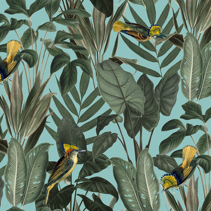 Birds of Paradise Wallpaper