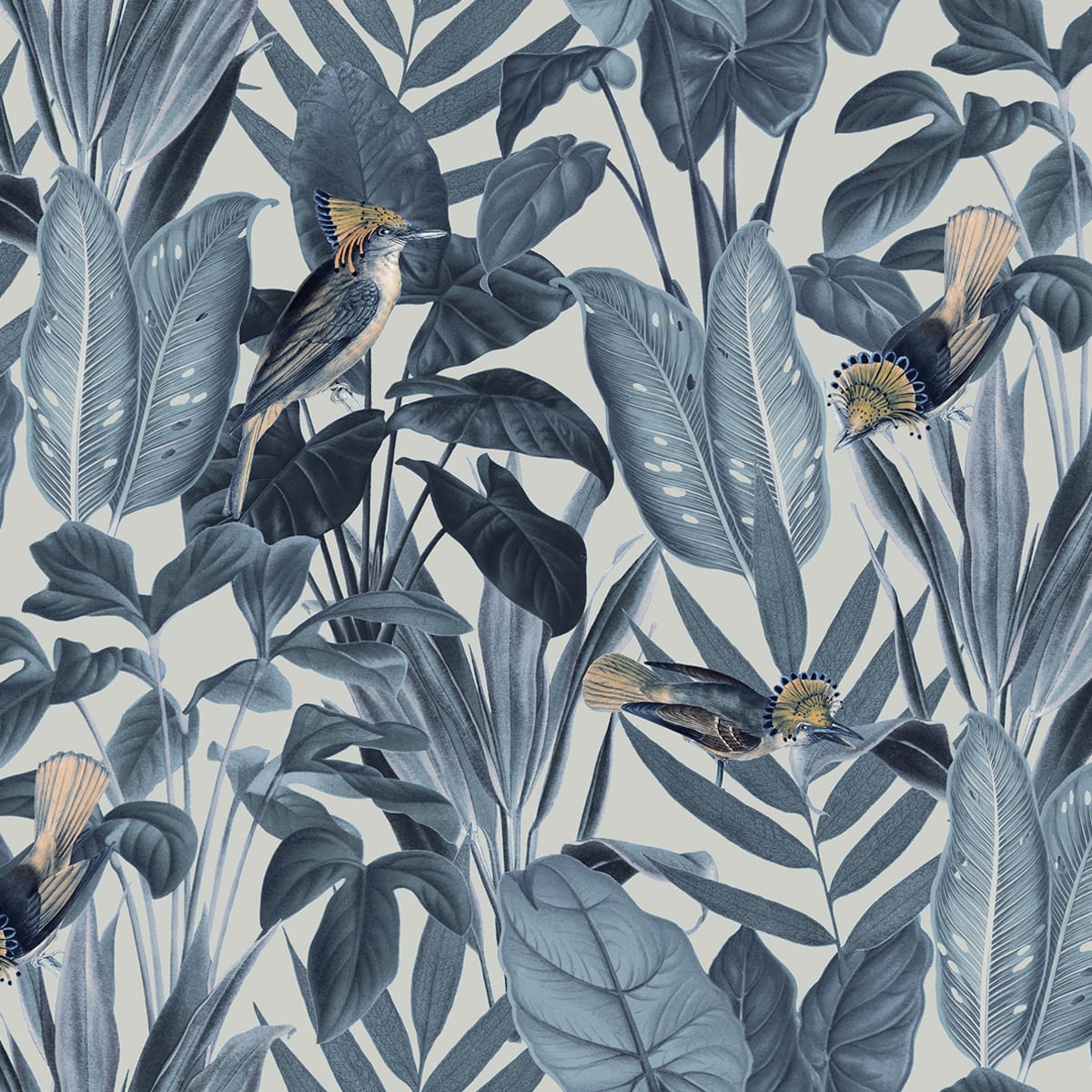 Birds of Paradise Wallpaper