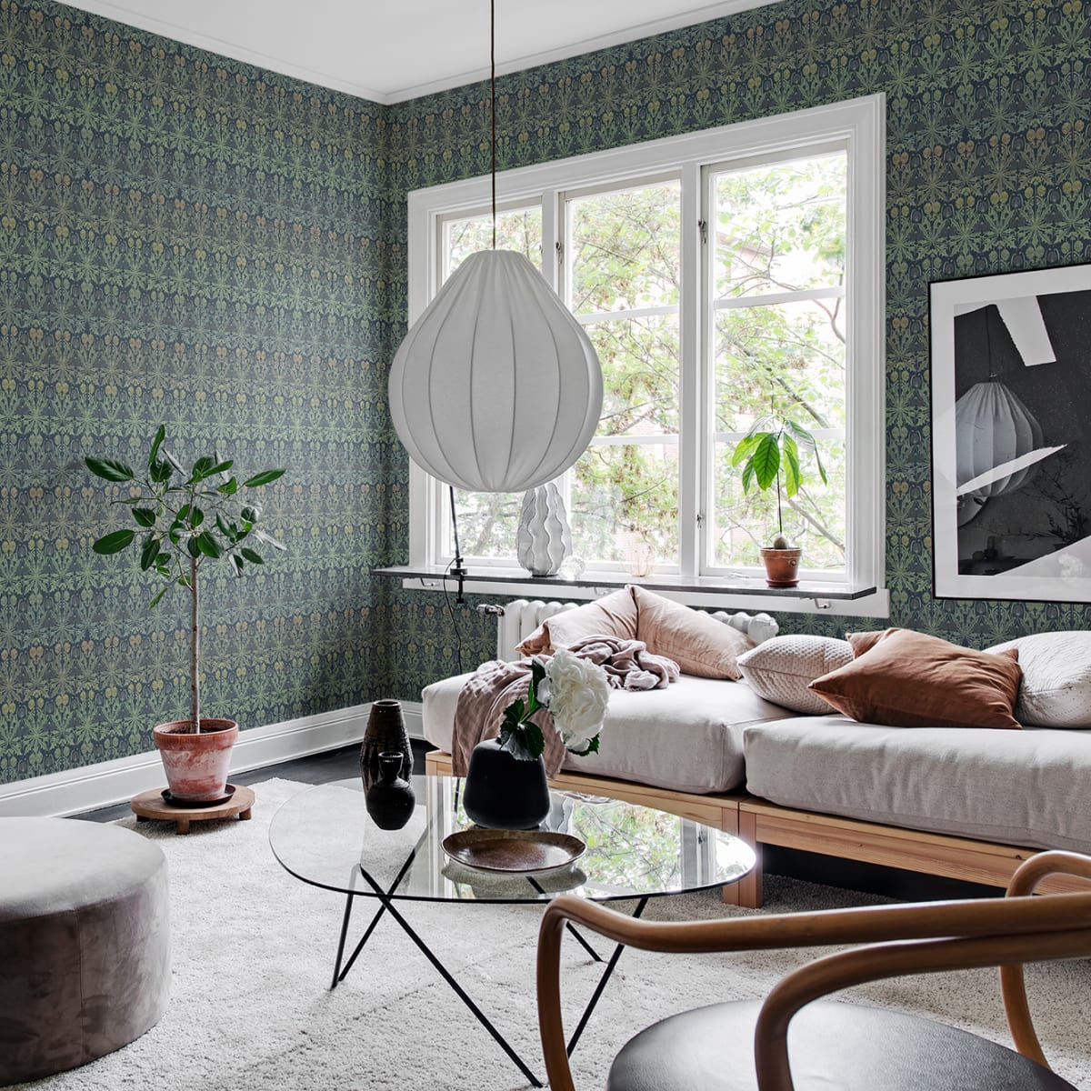 Dear Little Dandelion Wallpaper