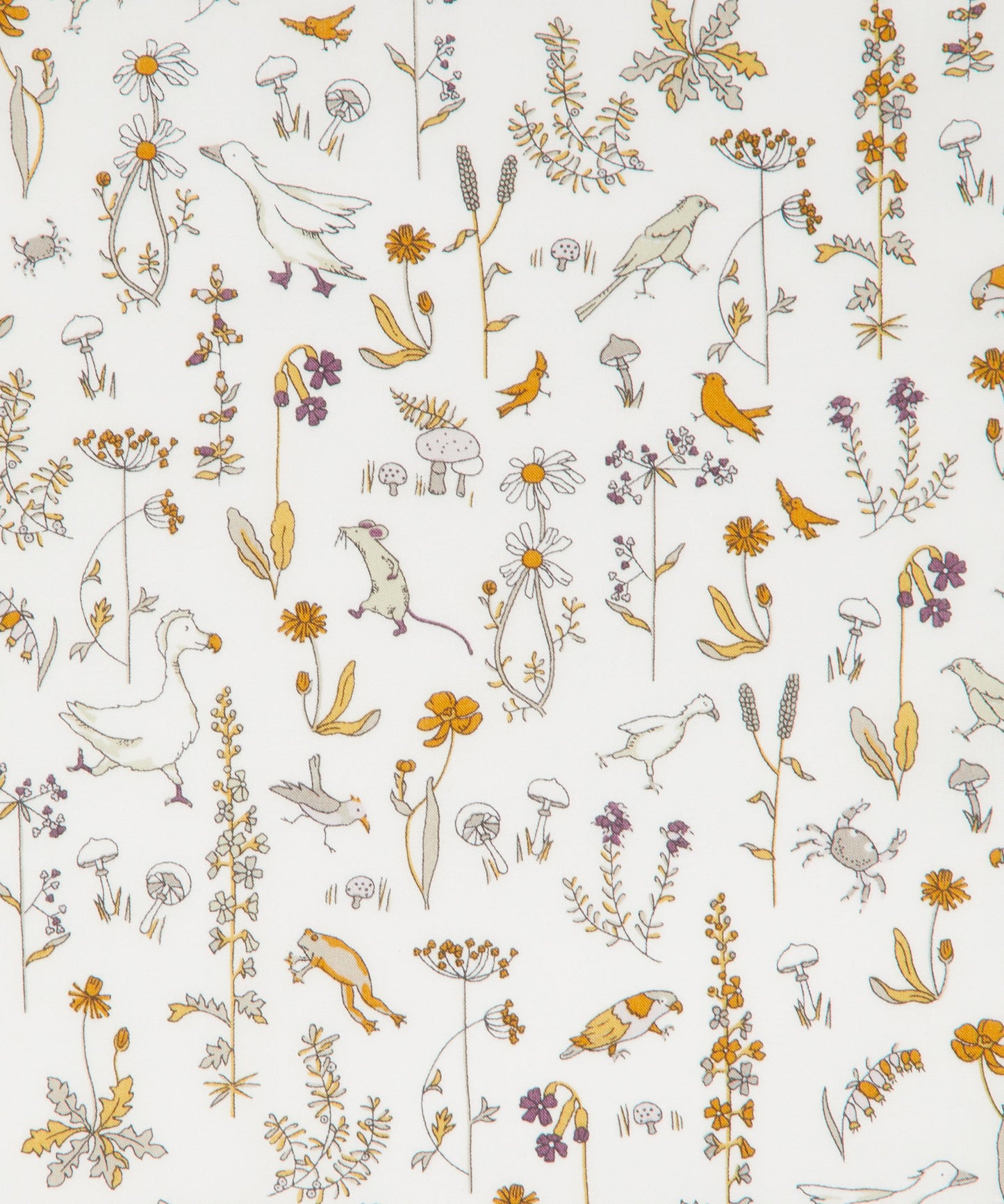 Theo Tana Lawn™ Cotton Fabric - Cream - Liberty