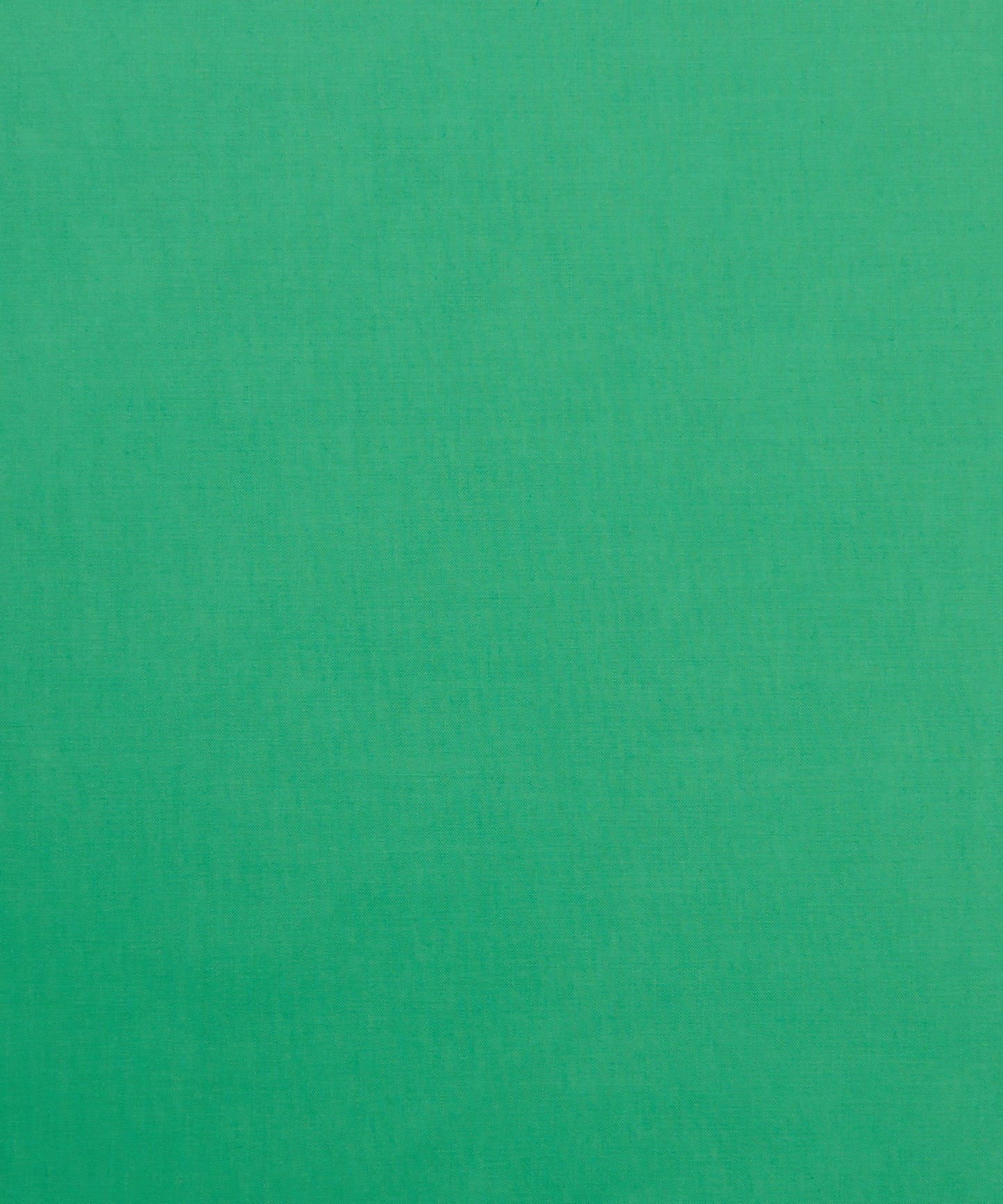 Fern Plain Tana Lawn™ Cotton Fabric - Green - Liberty